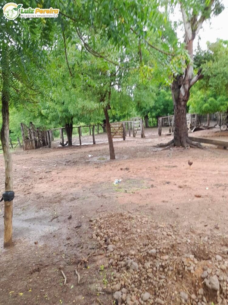 Terreno à venda, 4700000m² - Foto 2