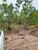 Terreno, 470 hectares - Foto 3