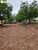 Terreno, 470 hectares - Foto 9