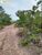 Terreno, 470 hectares - Foto 4