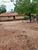 Terreno, 470 hectares - Foto 12