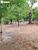 Terreno, 470 hectares - Foto 2