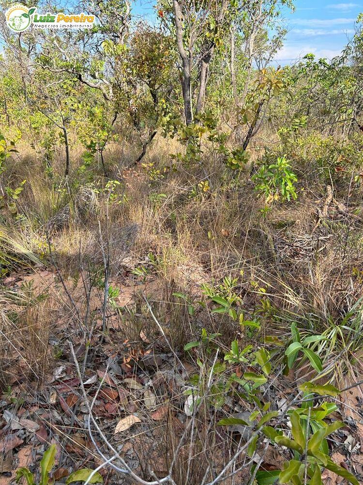 Terreno, 1069 m² - Foto 2