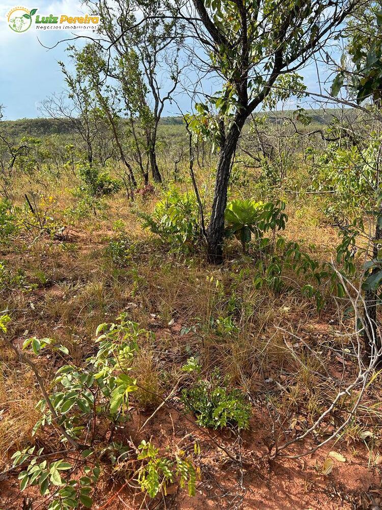 Terreno, 1069 m² - Foto 4