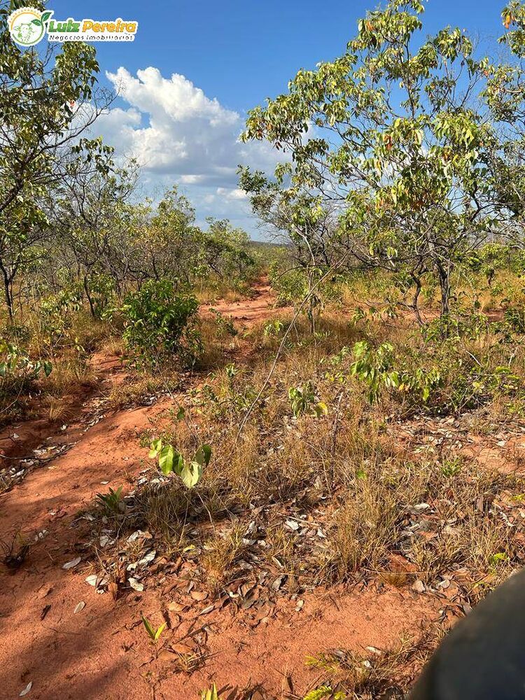 Terreno, 1069 m² - Foto 1