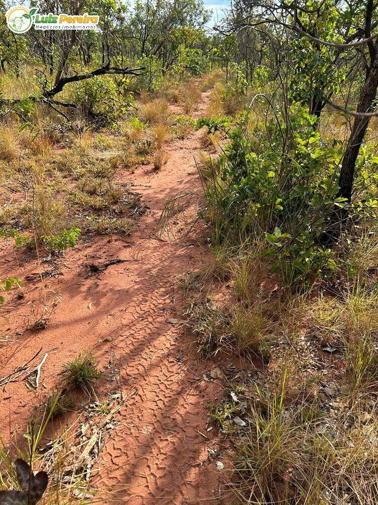 Terreno, 1069 m² - Foto 3