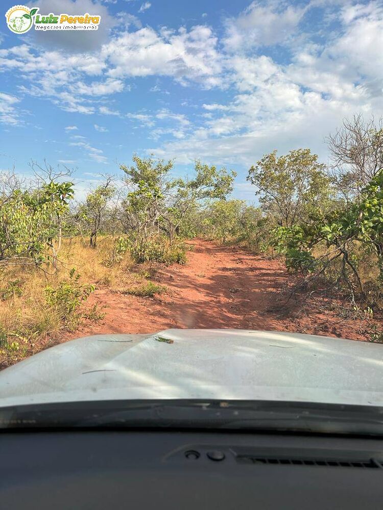 Terreno, 1069 m² - Foto 7