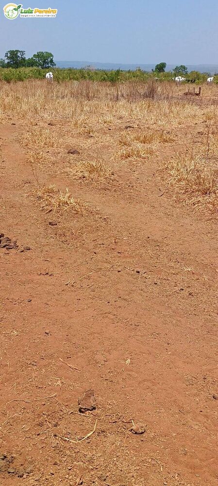 Terreno, 2274 m² - Foto 3