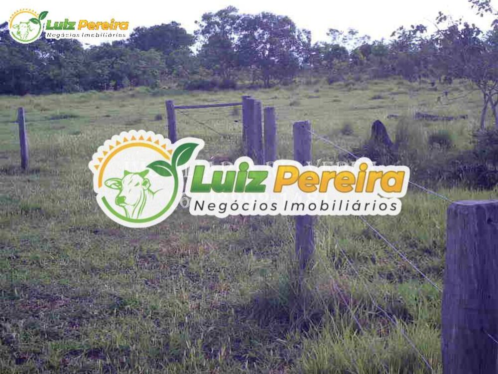 Terreno, 940 hectares - Foto 3