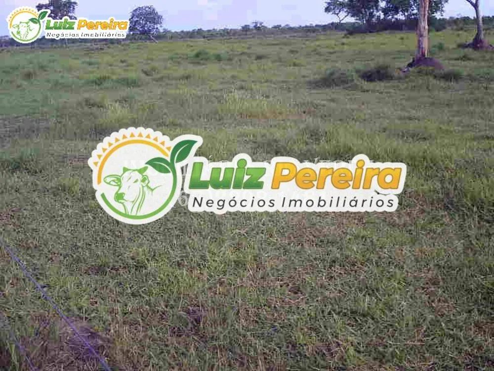 Terreno, 940 hectares - Foto 4