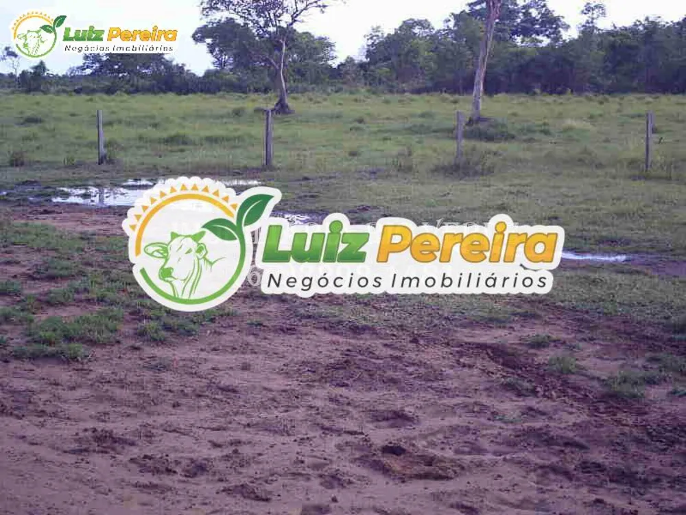 Terreno, 940 hectares - Foto 9