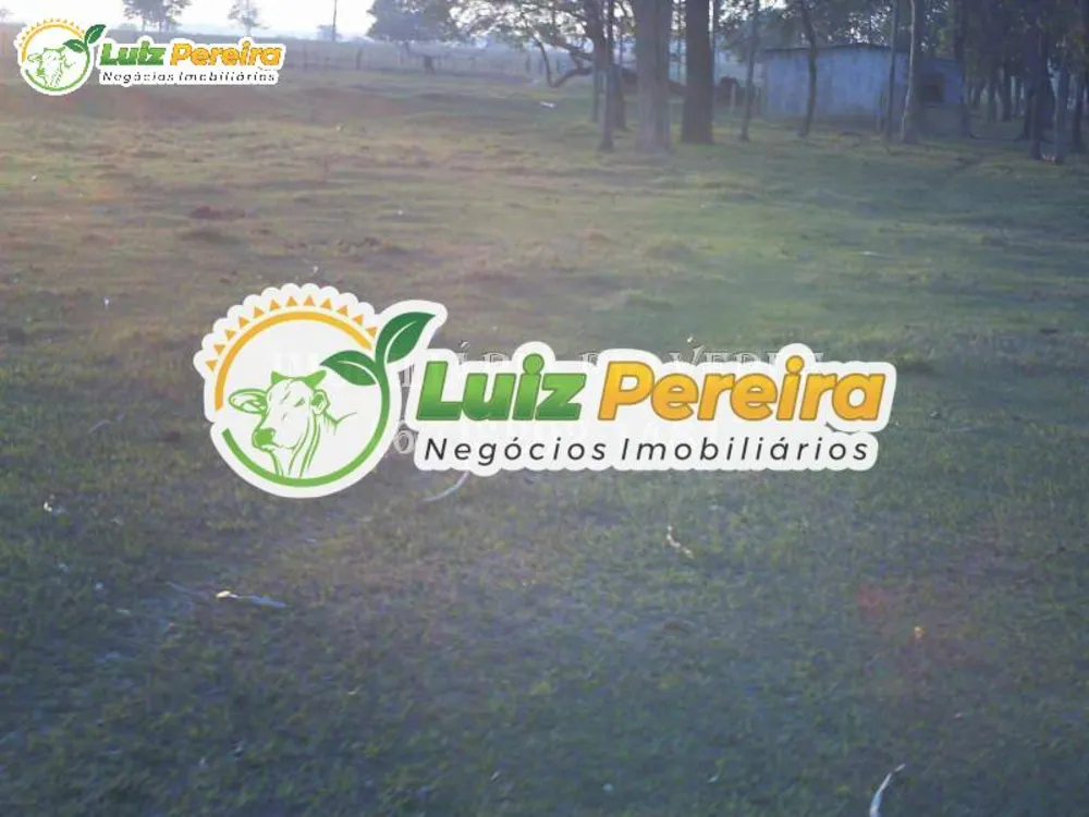 Terreno, 940 hectares - Foto 12