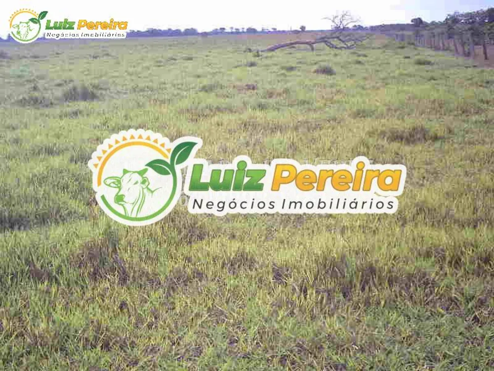 Terreno, 940 hectares - Foto 3