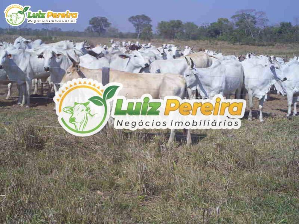 Terreno, 940 hectares - Foto 1