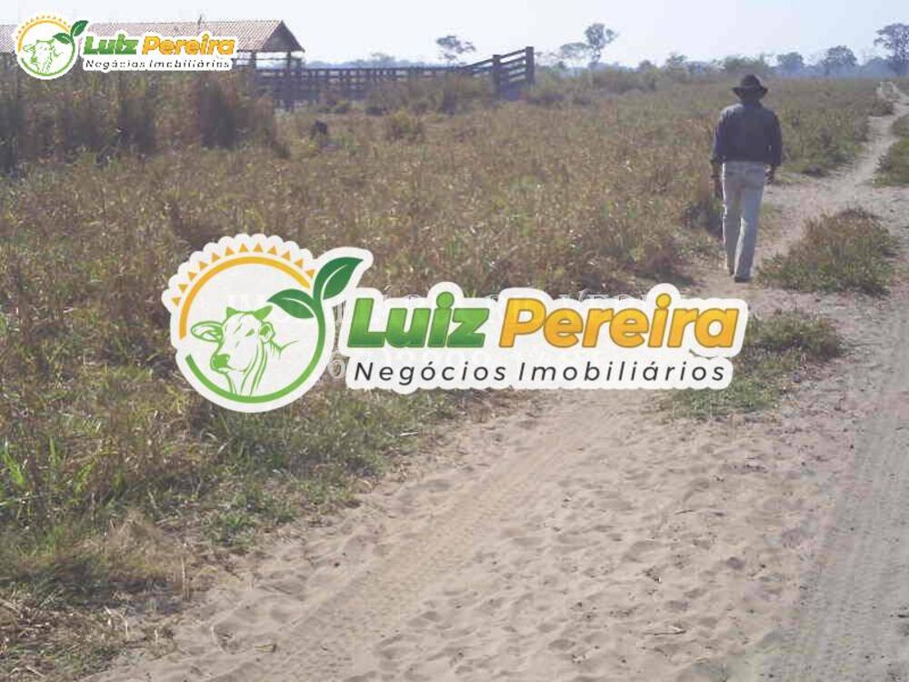 Terreno, 940 hectares - Foto 4