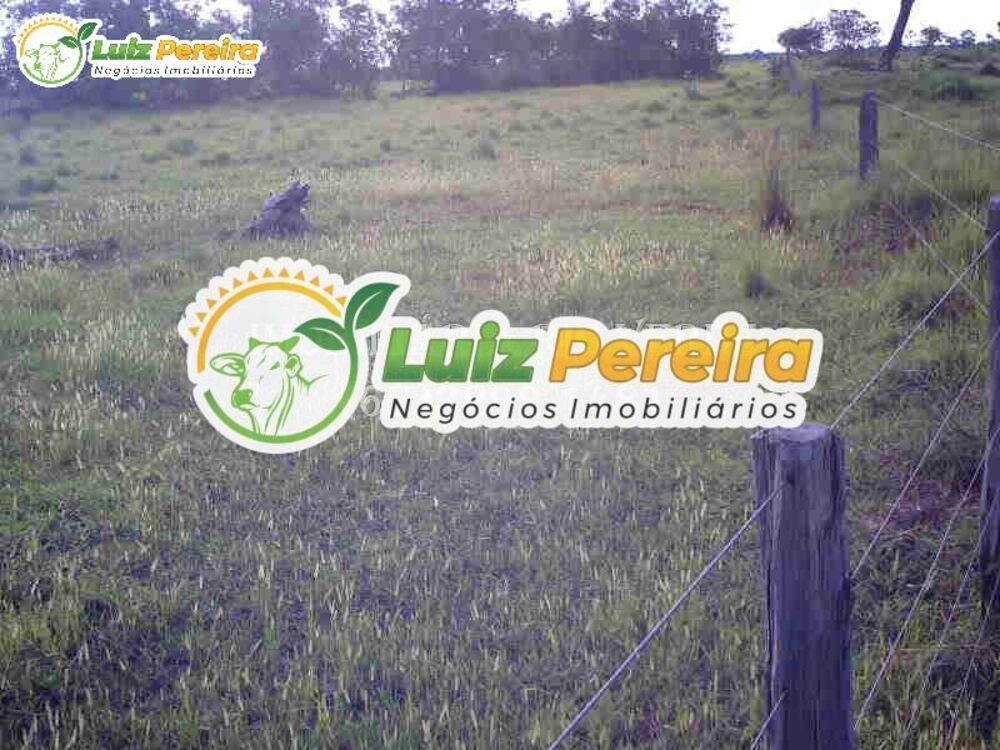 Terreno, 940 hectares - Foto 2