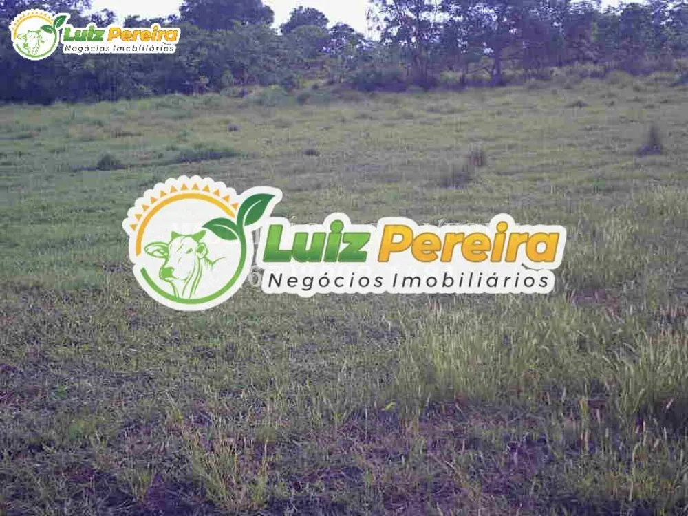Terreno, 940 hectares - Foto 8