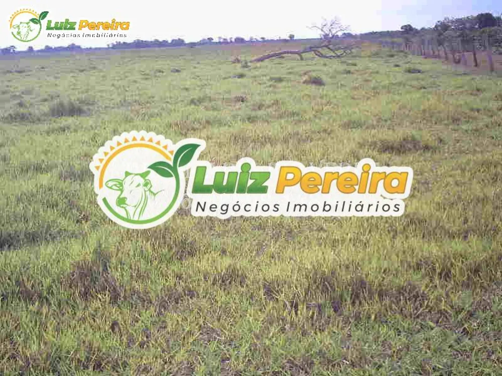 Terreno, 940 hectares - Foto 2