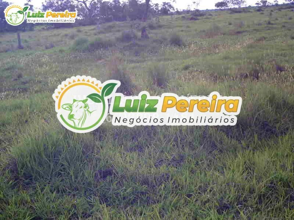 Terreno, 940 hectares - Foto 6