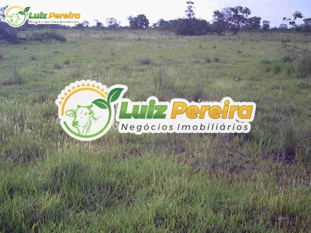 Terreno, 940 hectares - Foto 5