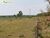 Terreno, 152 m² - Foto 3