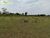 Terreno, 152 m² - Foto 2