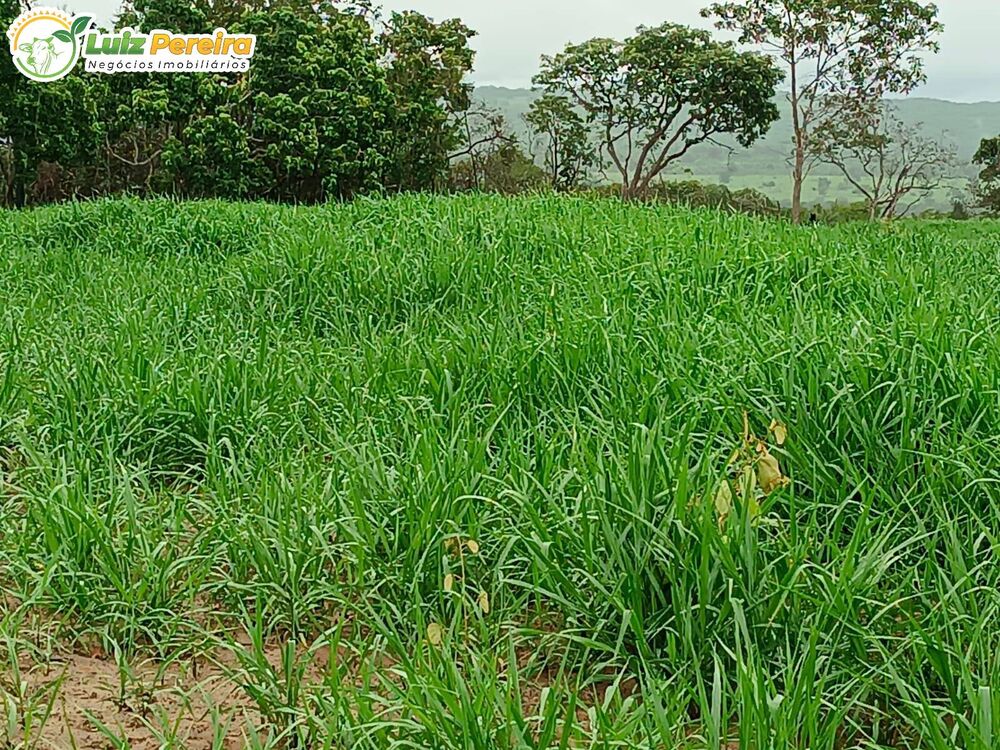 Terreno, 860 m² - Foto 1