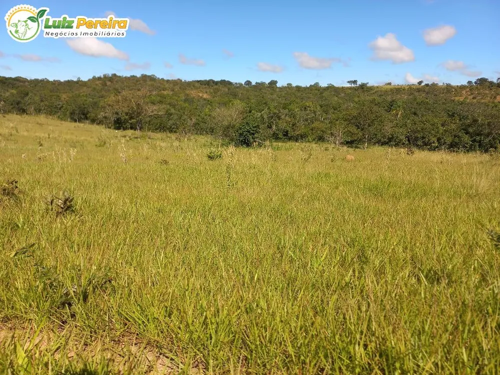 Terreno, 1000 m² - Foto 4