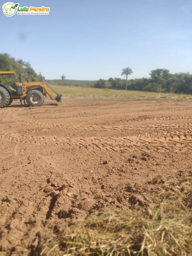 Terreno à venda, 1000m² - Foto 3