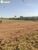 Terreno, 1000 m² - Foto 4