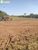 Terreno, 1000 m² - Foto 3