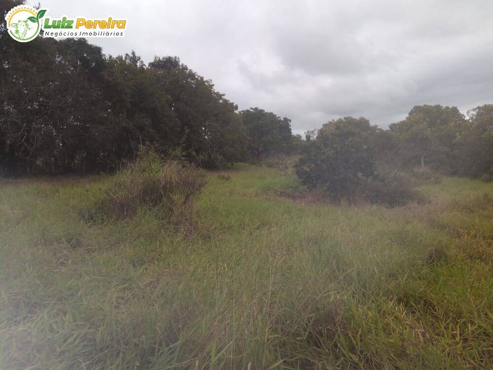 Terreno, 500 m² - Foto 2