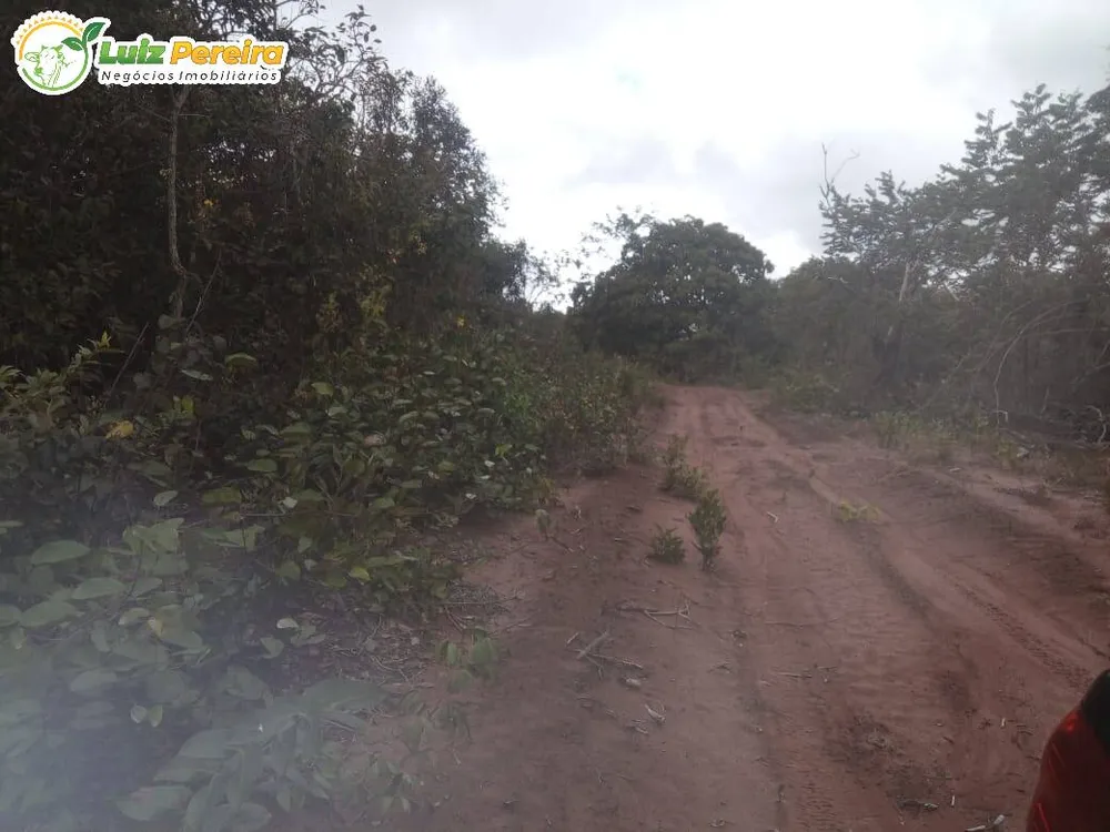 Terreno, 500 m² - Foto 6