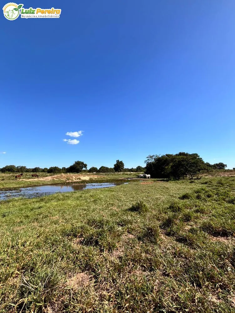 Terreno, 4300 m² - Foto 7
