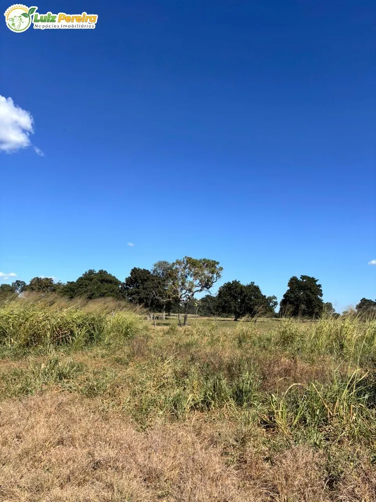 Terreno, 4300 m² - Foto 5
