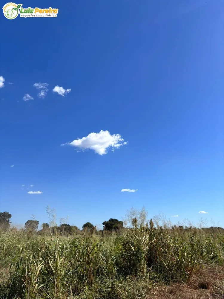 Terreno, 4300 m² - Foto 11