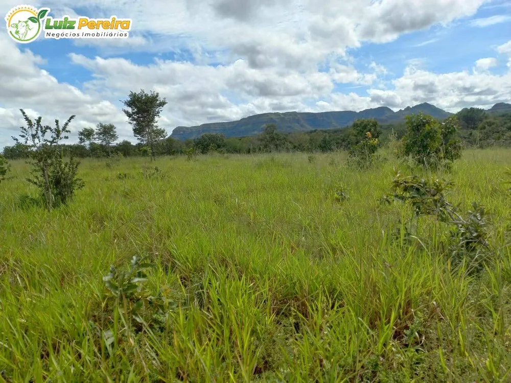 Terreno, 2417 hectares - Foto 8