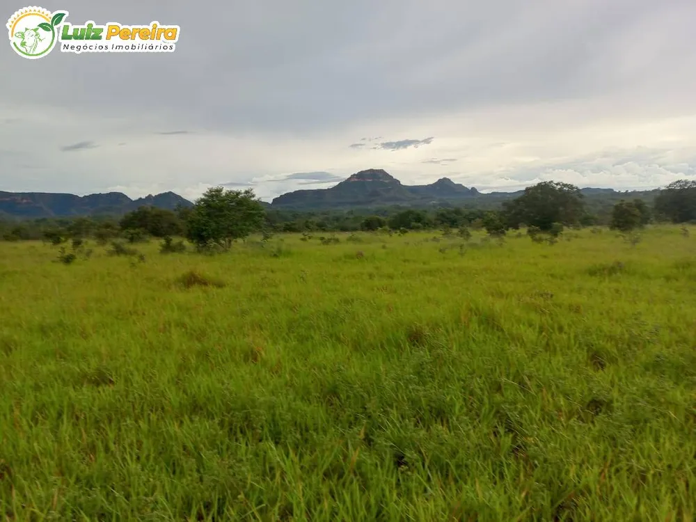 Terreno, 2417 hectares - Foto 6