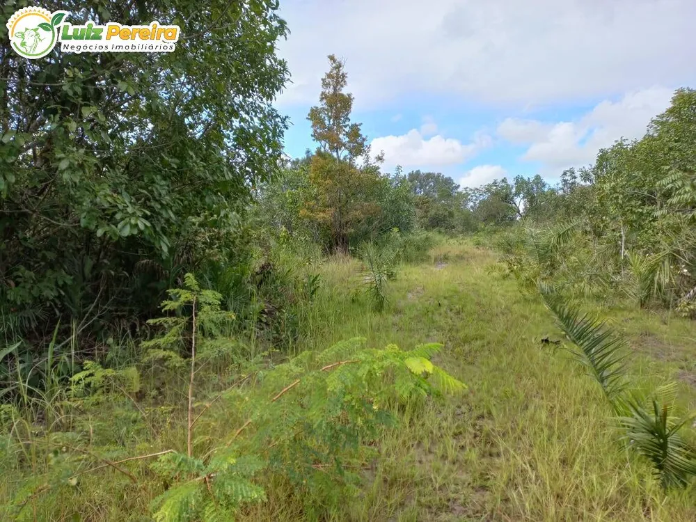 Terreno, 2417 hectares - Foto 4