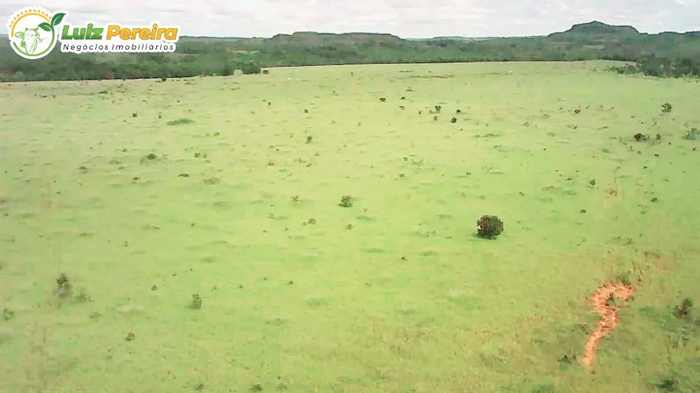 Terreno, 2417 hectares - Foto 3