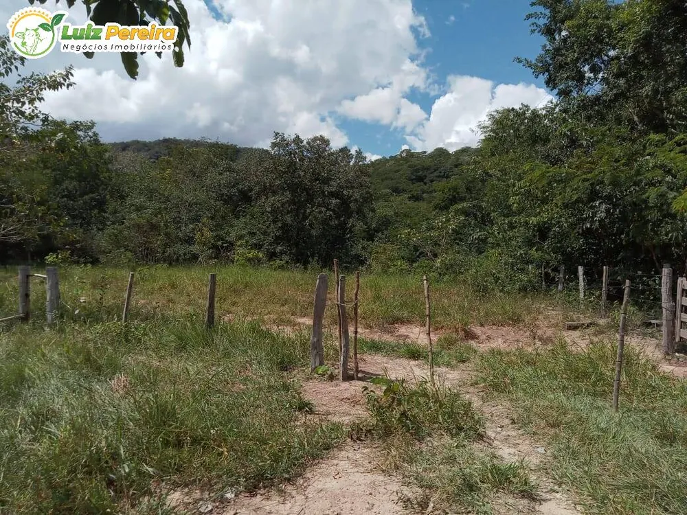 Terreno, 446 hectares - Foto 8