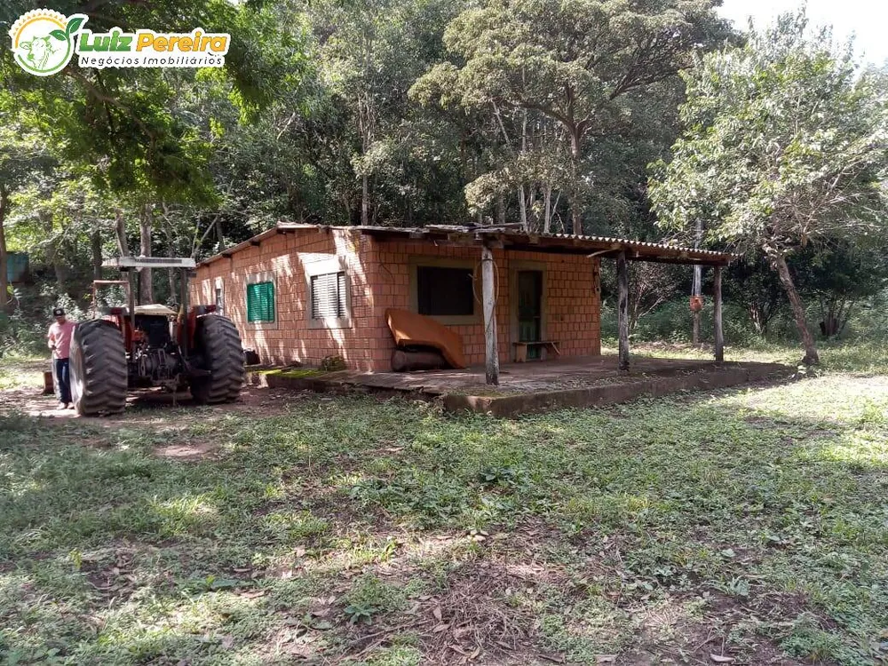 Terreno, 446 hectares - Foto 15