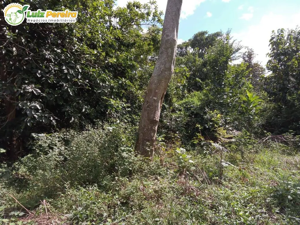 Terreno, 446 hectares - Foto 10