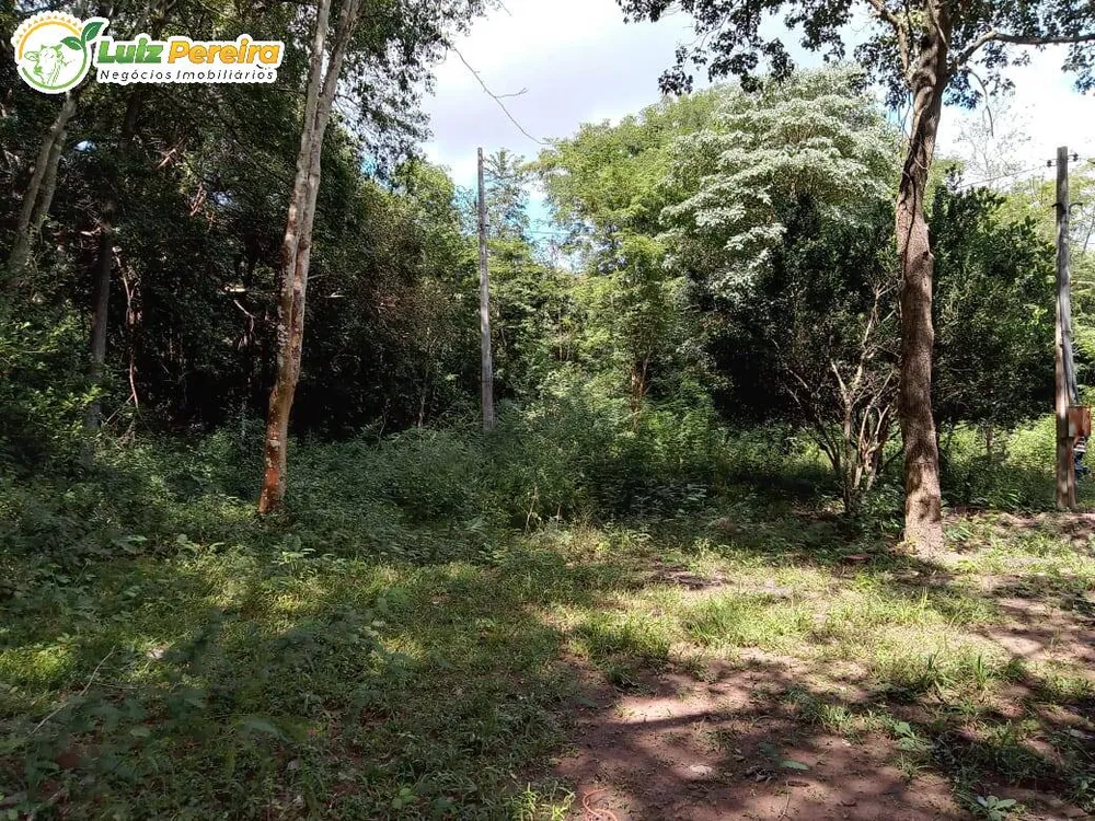 Terreno, 446 hectares - Foto 9