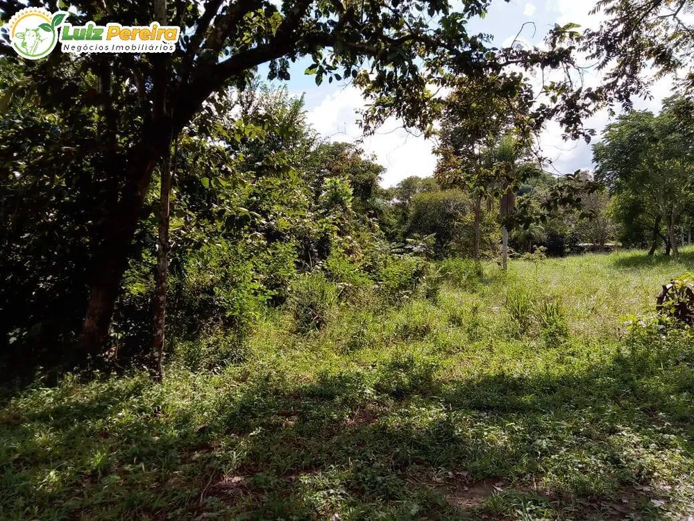 Terreno, 446 hectares - Foto 4