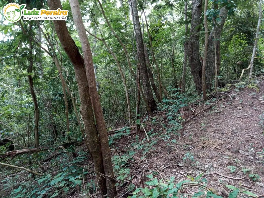 Terreno, 446 hectares - Foto 12
