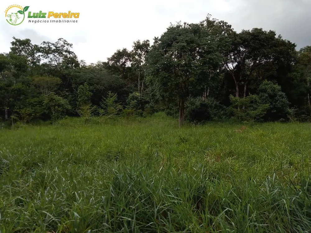 Terreno, 446 hectares - Foto 3