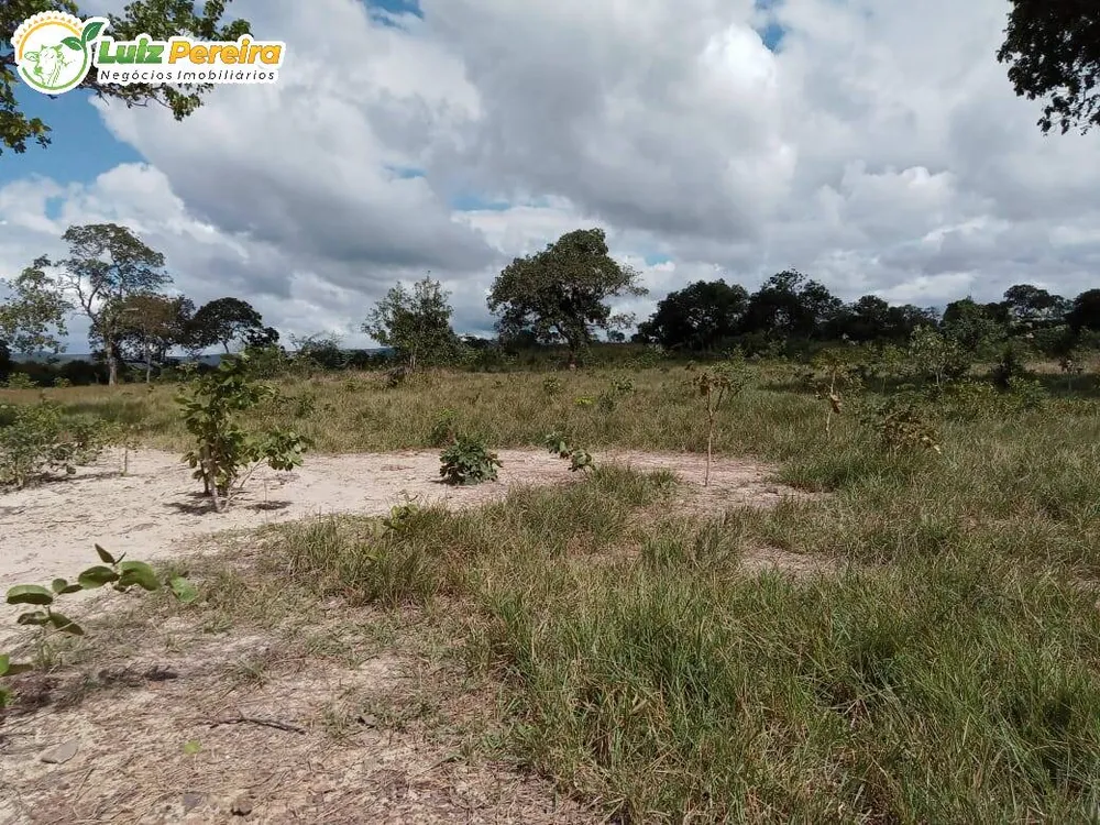 Terreno, 446 hectares - Foto 14