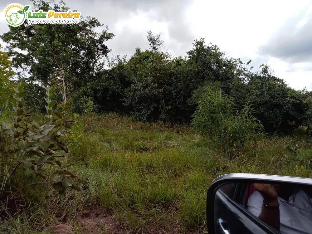 Terreno, 446 hectares - Foto 6
