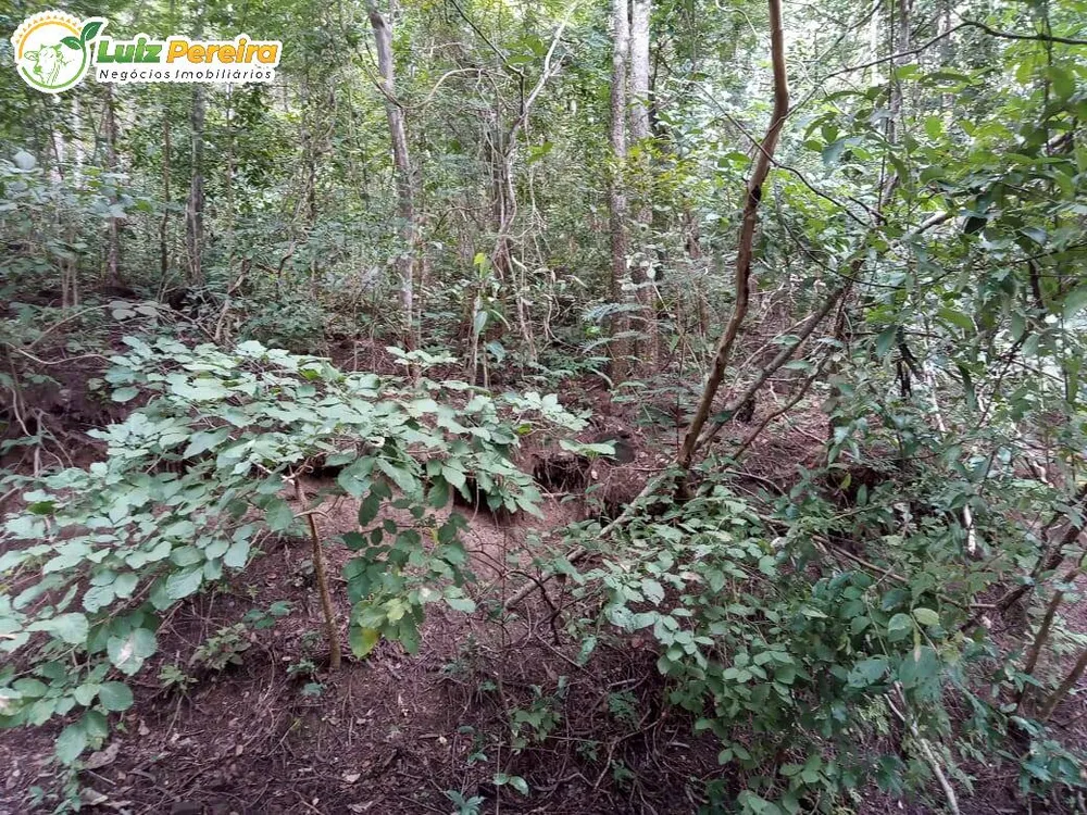 Terreno, 446 hectares - Foto 13